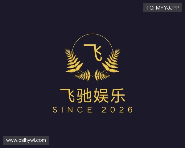 关于飞驰娱乐